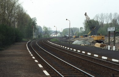 Callenelle - TH 80-3701.jpg